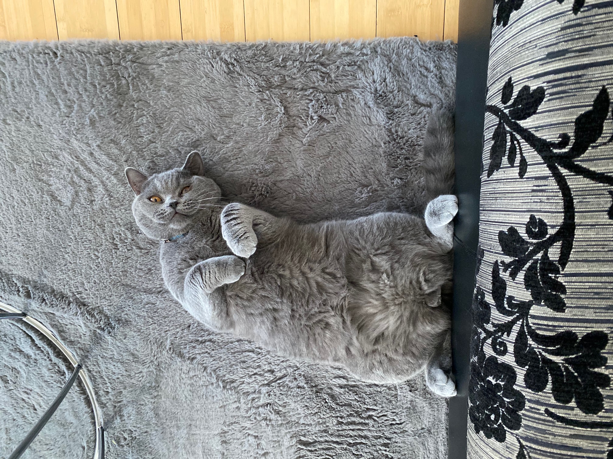 koko